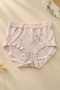 Soft Silhouette Hipster Briefs in Blush Pink — portrait flat lay with botanical fan