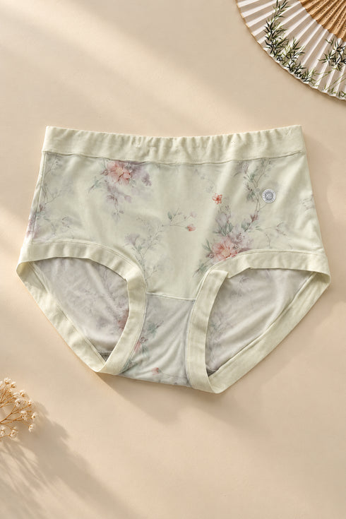 Soft Silhouette Hipster Briefs in Sage Mist — portrait flat lay with botanical fan